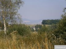 Działka rolno-budowlana Starkówek. Zdjęcie 2