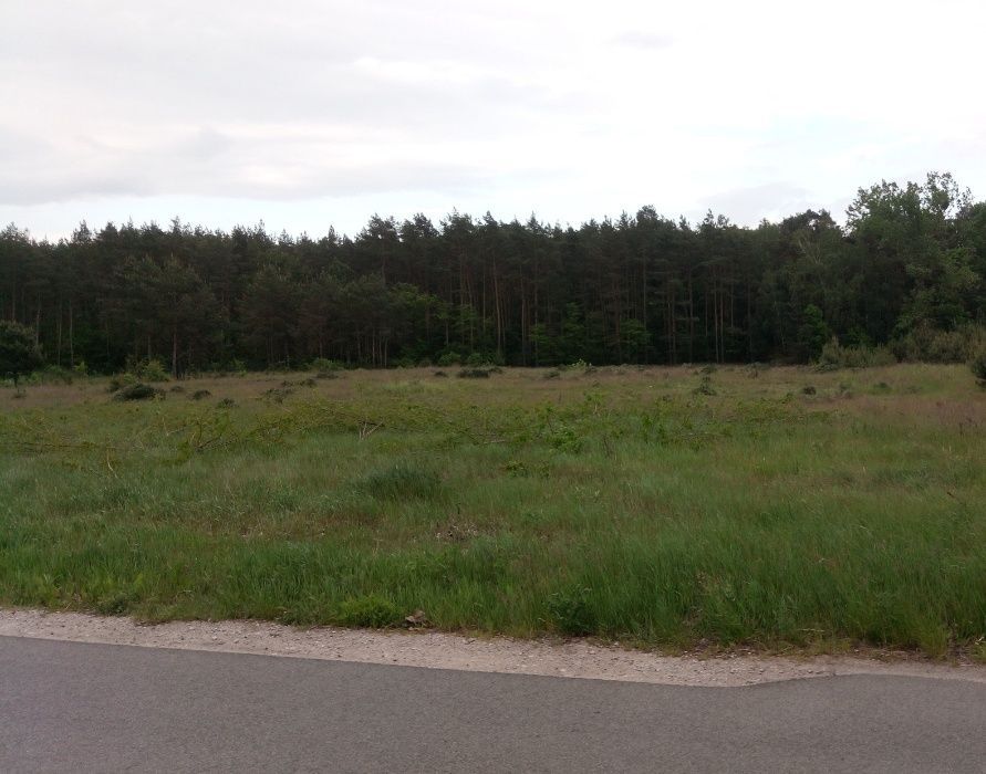 Działka rolno-budowlana Jeżewice. Zdjęcie 3