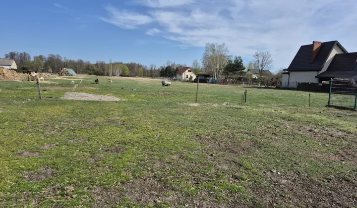 Działka rolno-budowlana Bieganów, ul. Malinowa