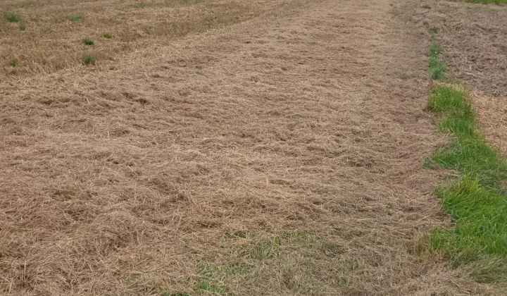 dom wolnostojący, 5 pokoi Buków