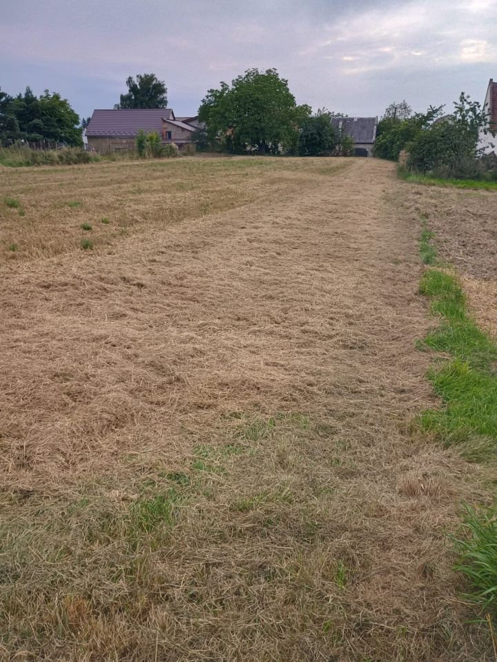 dom wolnostojący, 5 pokoi Buków