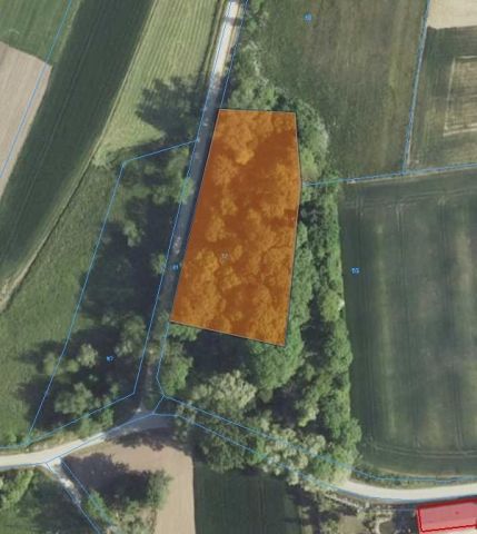 Działka siedliskowa Dębiany. Zdjęcie 11