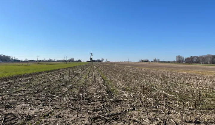 Działka rolna Rycice