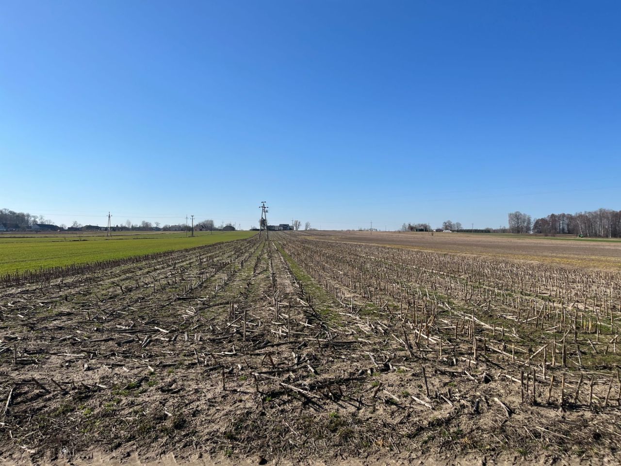 Działka rolna Rycice