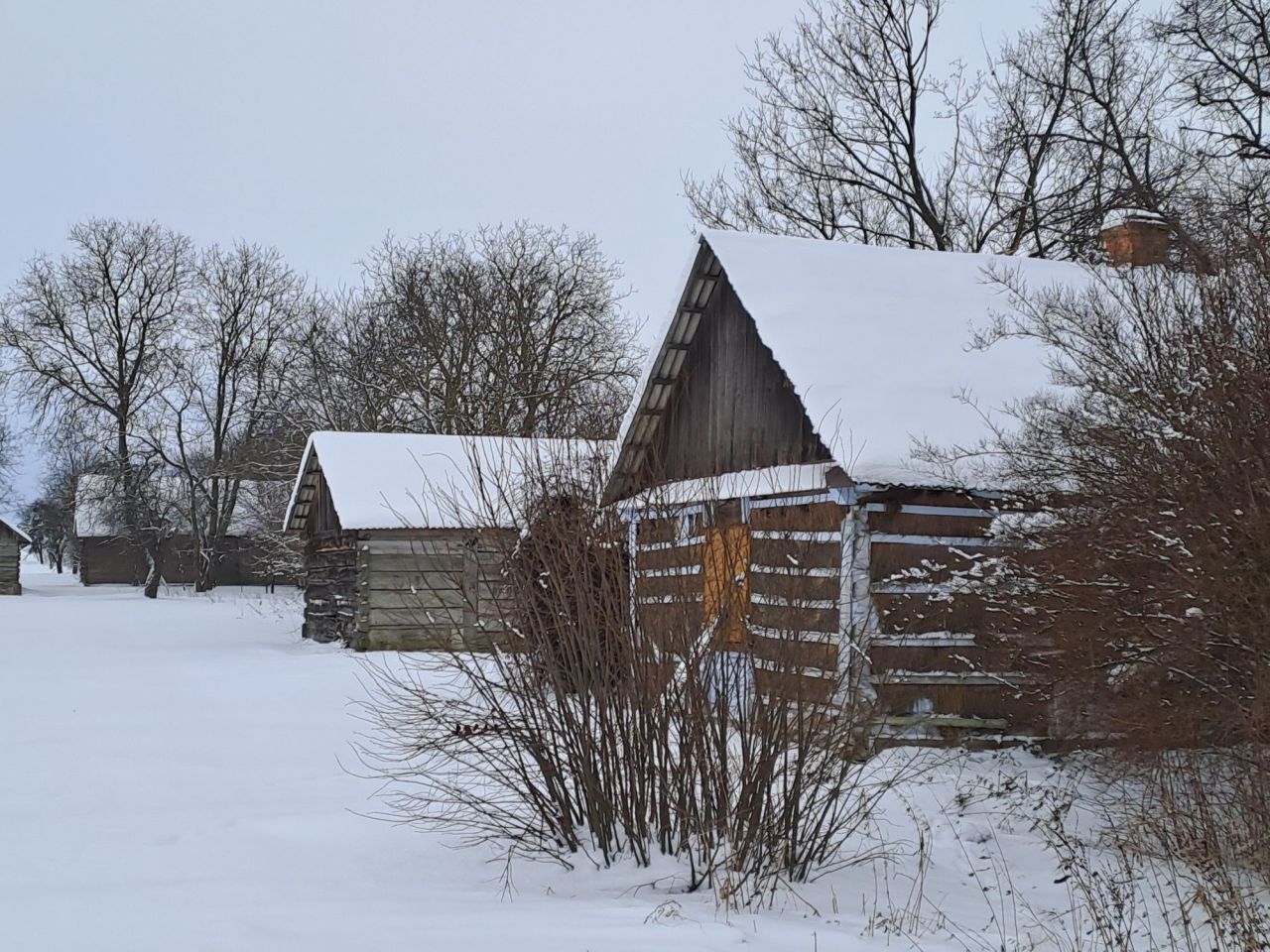Działka siedliskowa Teklin. Zdjęcie 2
