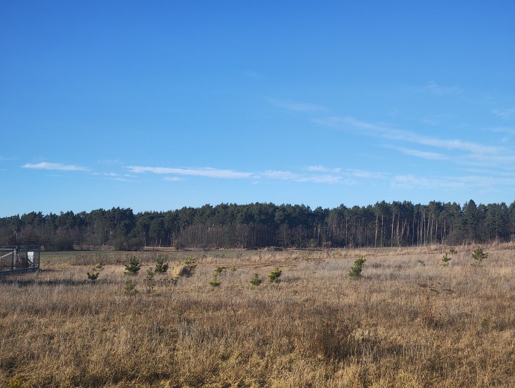 Działka budowlana Janczewo, ul. Długa. Zdjęcie 2