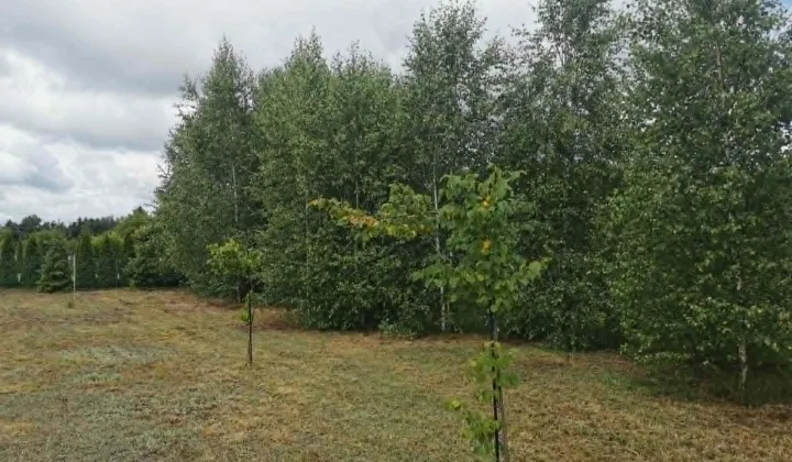 Działka budowlana Wielany, Kramsk-Łęgi