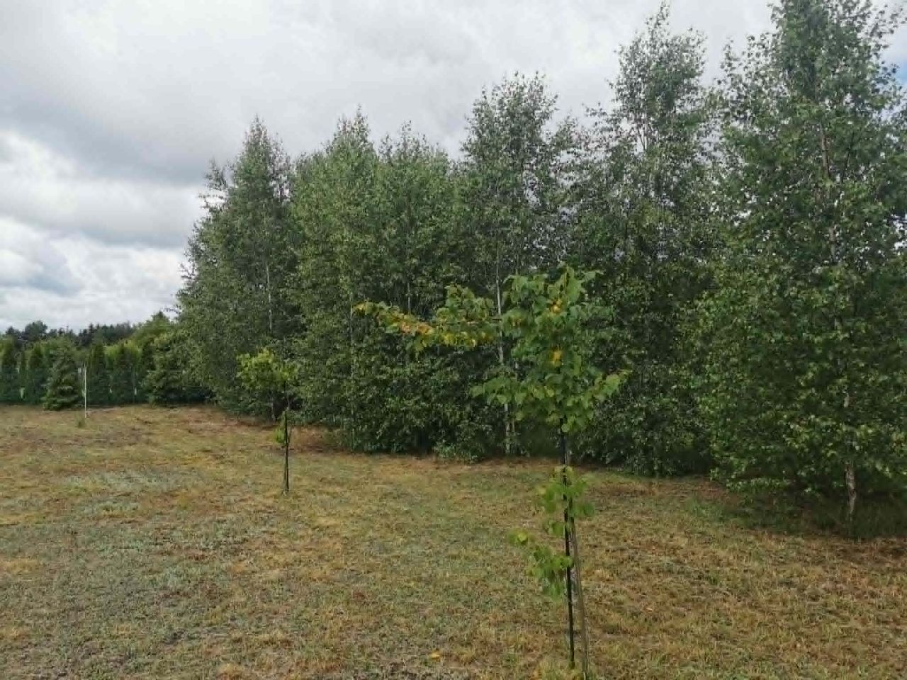 Działka budowlana Wielany, Kramsk-Łęgi. Zdjęcie 1