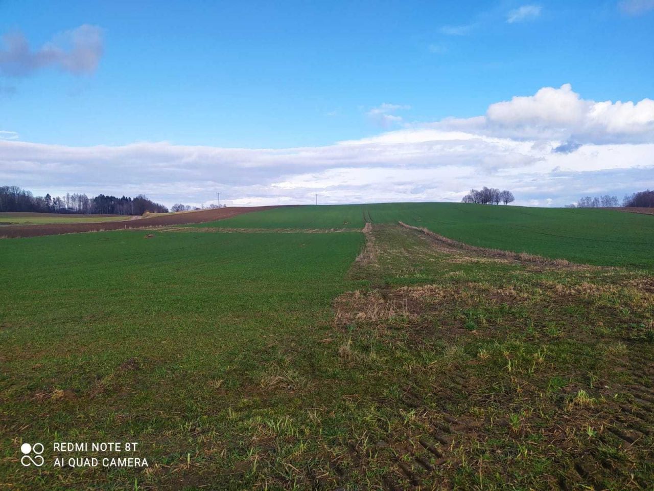 Działka budowlana Borzytuchom. Zdjęcie 4