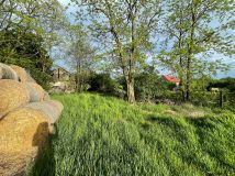 Działka rolno-budowlana Witów. Zdjęcie 3