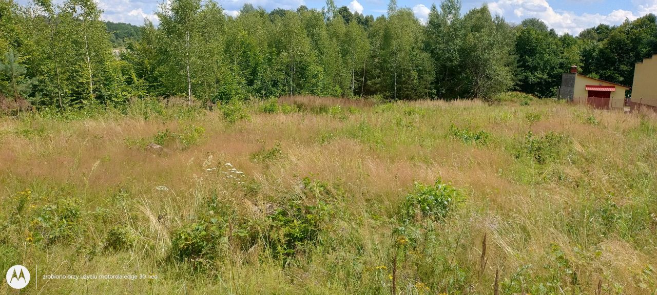 Działka budowlana Parszów, ul. Młyńska. Zdjęcie 3