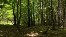 dom wolnostojący, 2 pokoje Poręba Spytkowska, ul. Bursztynowa. Zdjęcie 4