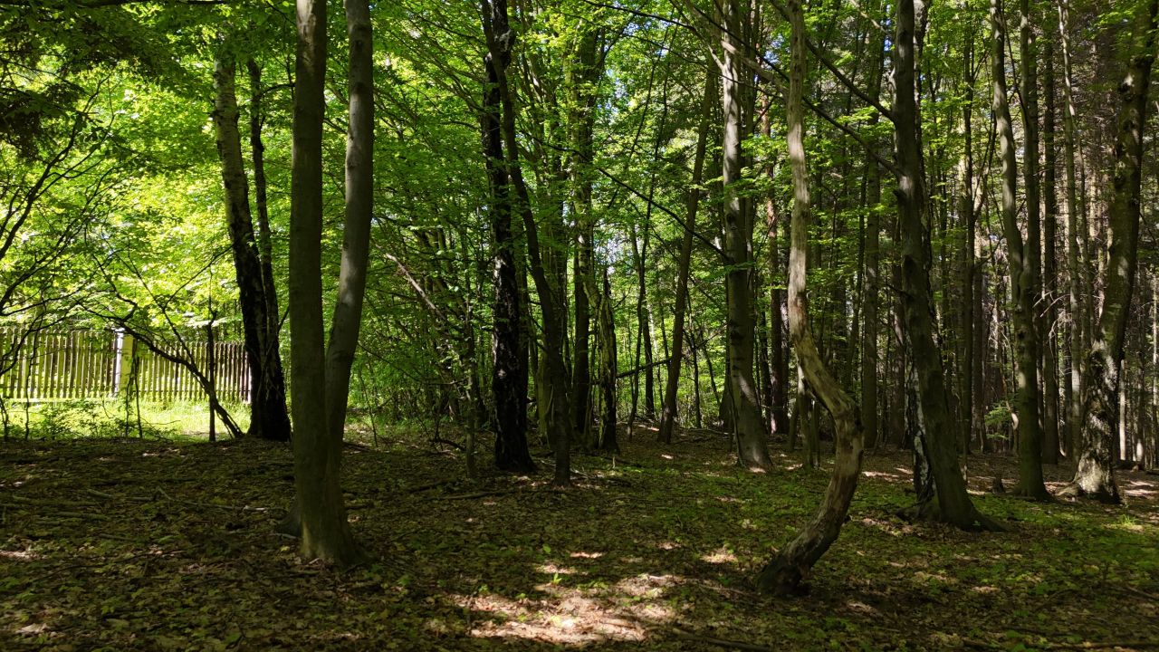 dom wolnostojący, 2 pokoje Poręba Spytkowska, ul. Bursztynowa. Zdjęcie 5