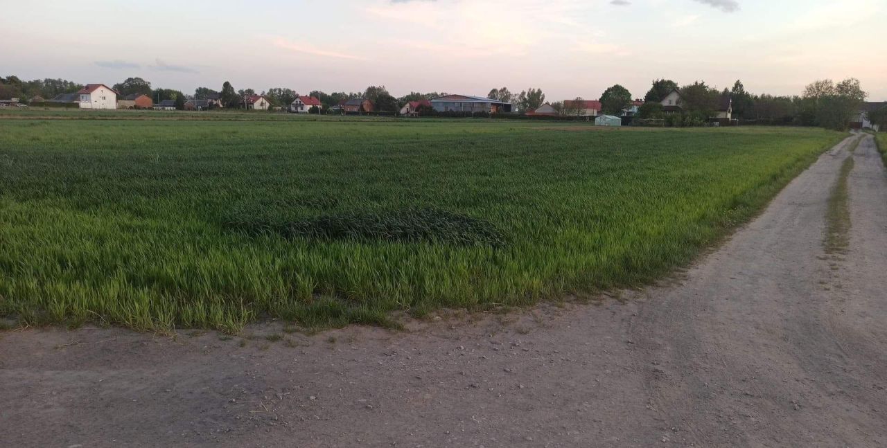 Działka siedliskowa Łęg. Zdjęcie 3