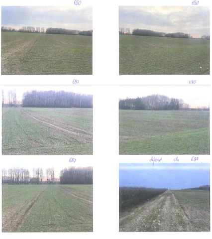 Działka rolna Horodyszcze, ul. Folwark. Zdjęcie 1