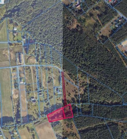 Działka rolno-budowlana Zgoda. Zdjęcie 1