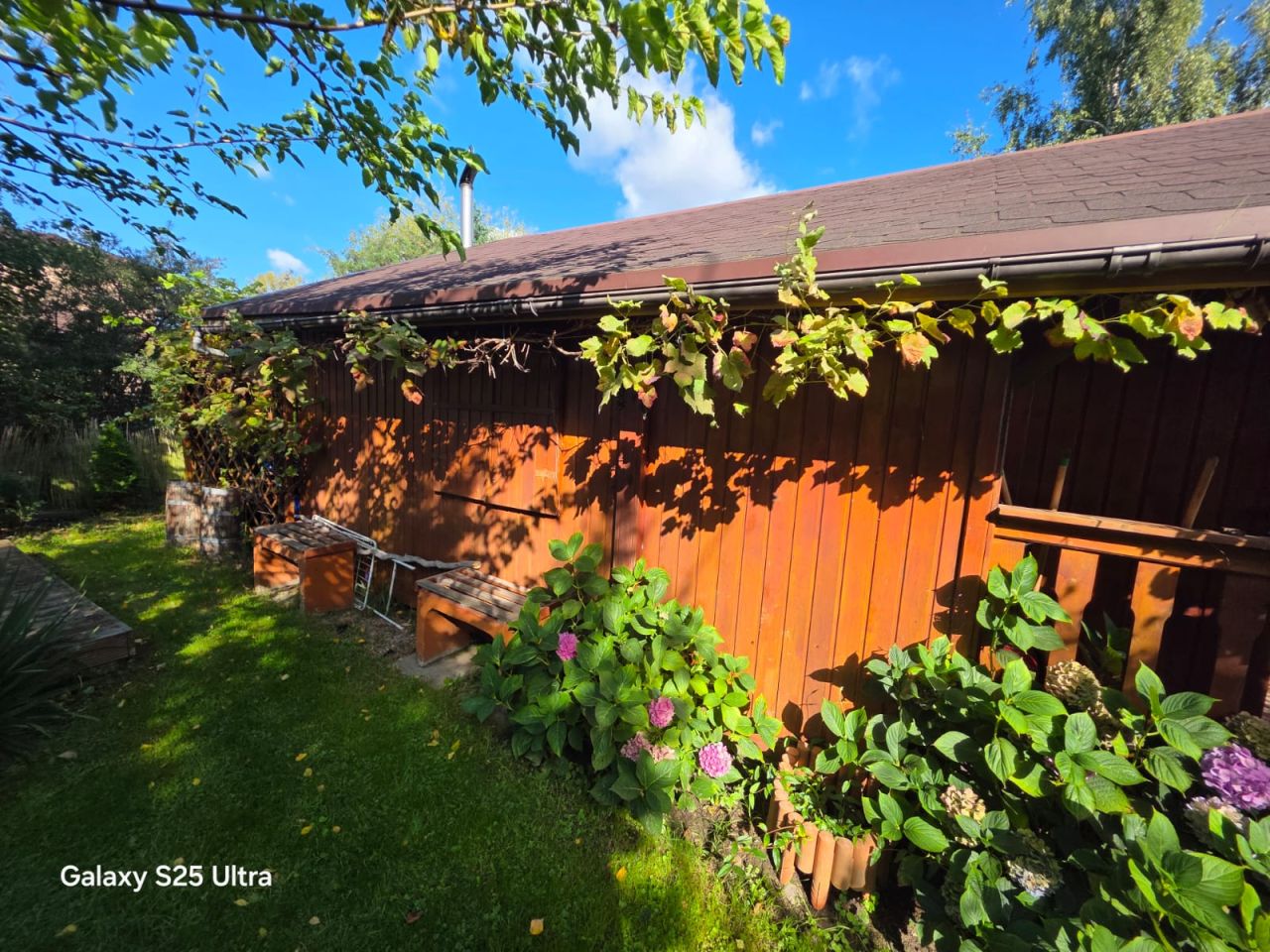 Działka rod Gdańsk Krakowiec, ul. Steczka. Zdjęcie 12