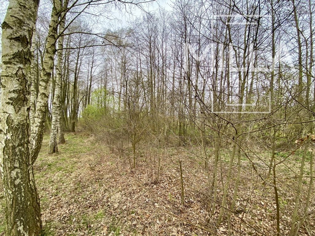 dom wolnostojący, 5 pokoi Ługi. Zdjęcie 15