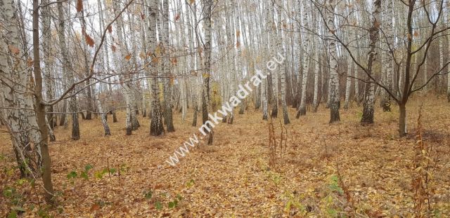 Działka budowlana Holendry Baranowskie. Zdjęcie 6