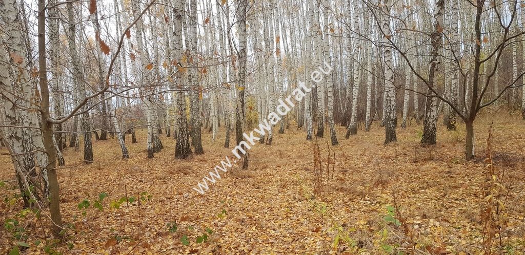 Działka budowlana Holendry Baranowskie. Zdjęcie 6