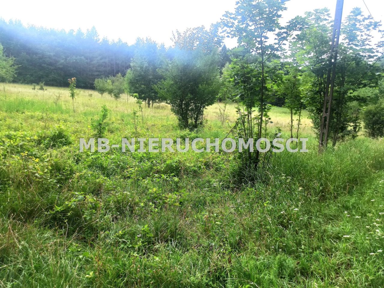 Działka rolna Ramsowo. Zdjęcie 2