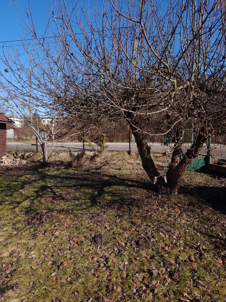 Działka rod Ostrowiec Świętokrzyski Ludwików, ul. Partyzantów. Zdjęcie 1