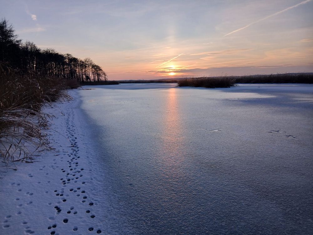 Działka rolna Zastań. Zdjęcie 2