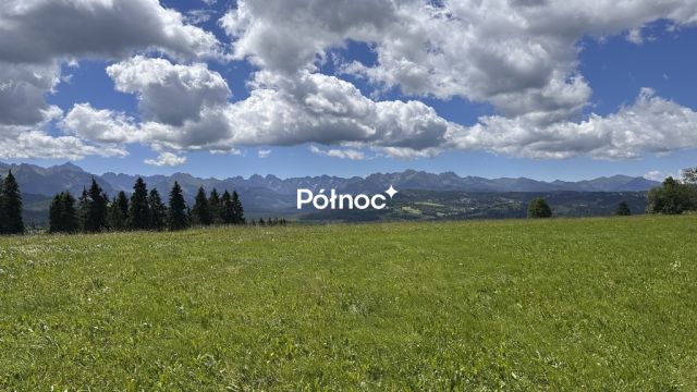 Działka rolna Rzepiska. Zdjęcie 1
