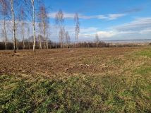 Działka rolna Marcyporęba, ul. Graniczna. Zdjęcie 1