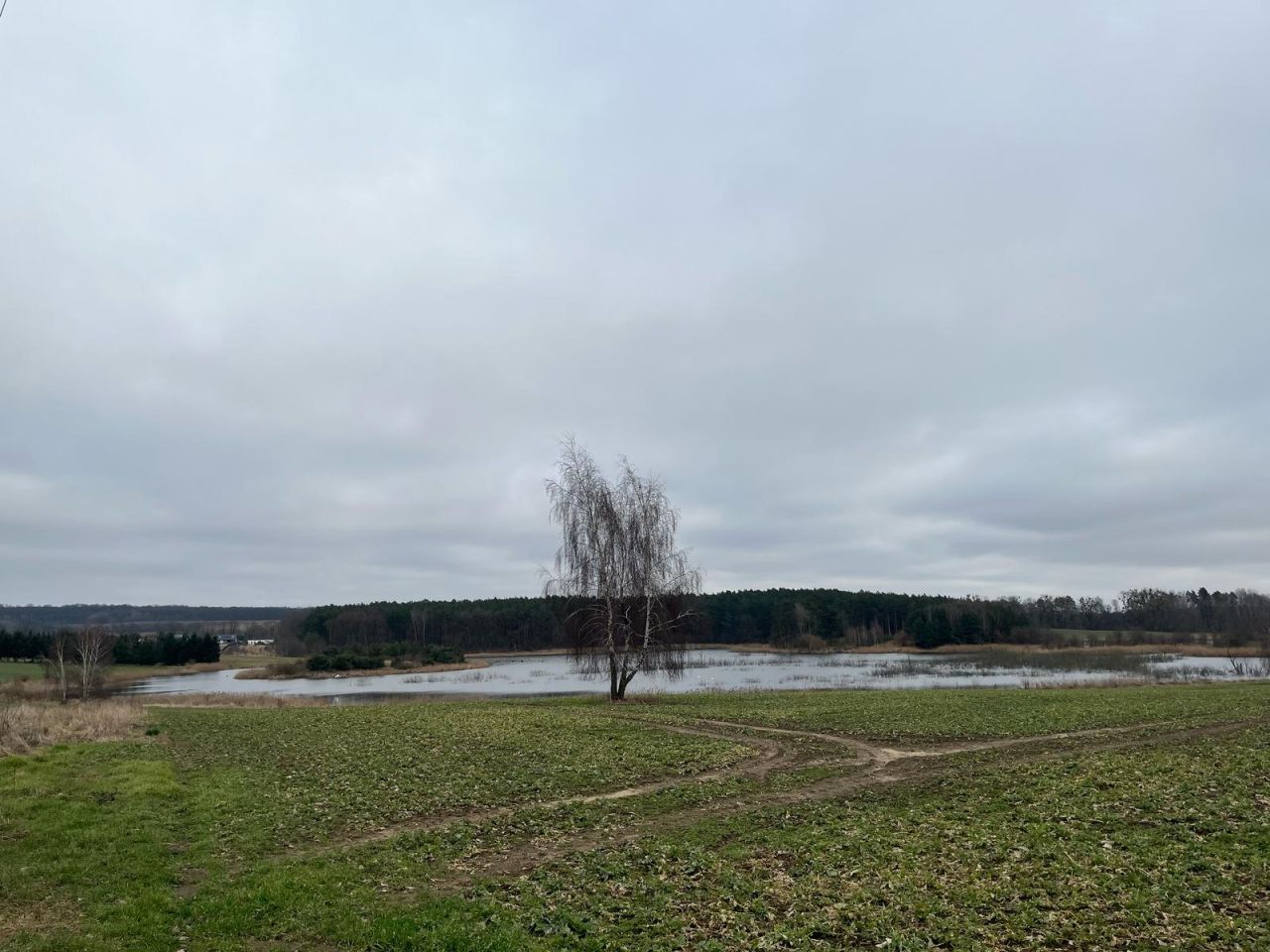 Działka budowlana Binowo. Zdjęcie 10