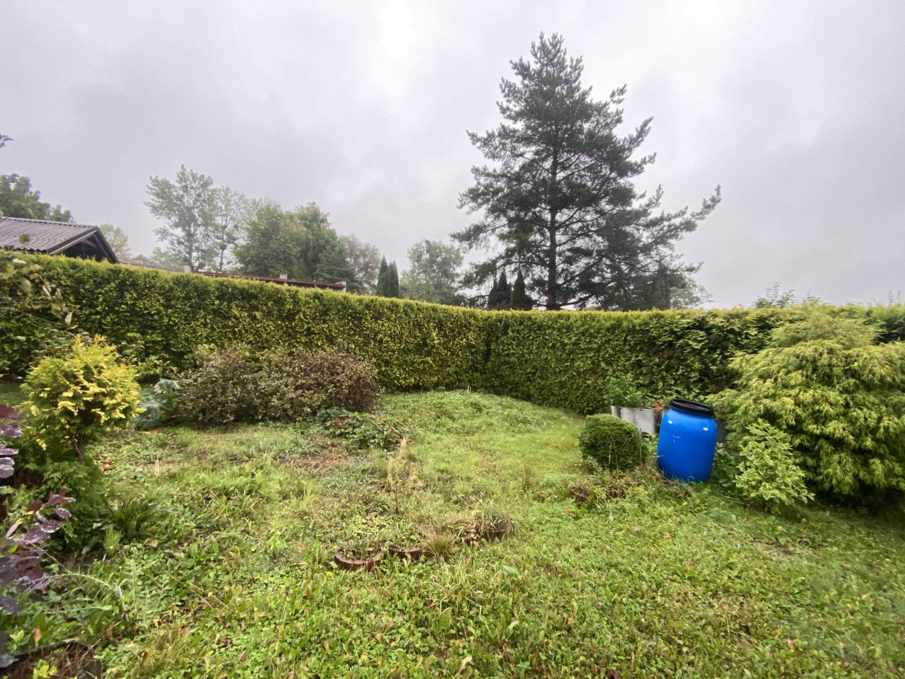 Działka rod Cieszyn, ul. Tysiąclecia. Zdjęcie 7