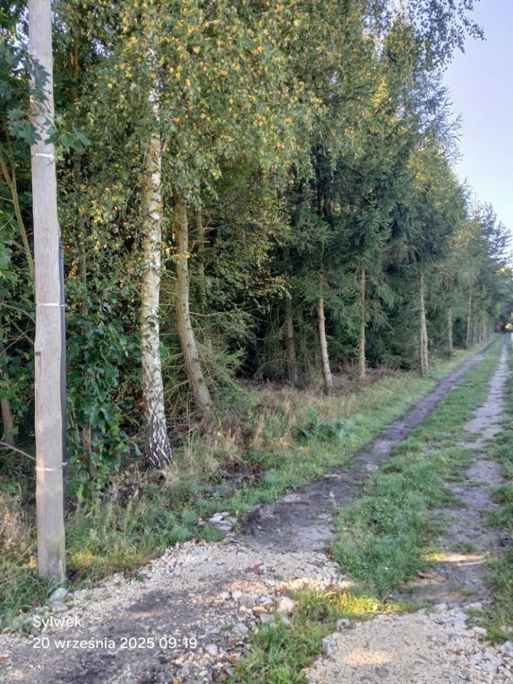 Działka rolna Huby Kotfińskie. Zdjęcie 7