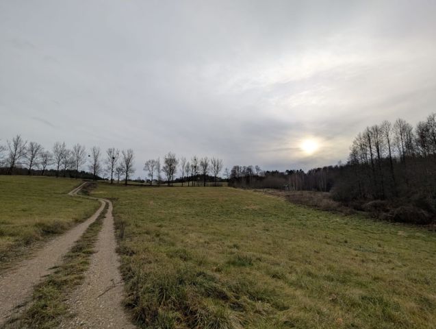 Działka rekreacyjna Rogale. Zdjęcie 4