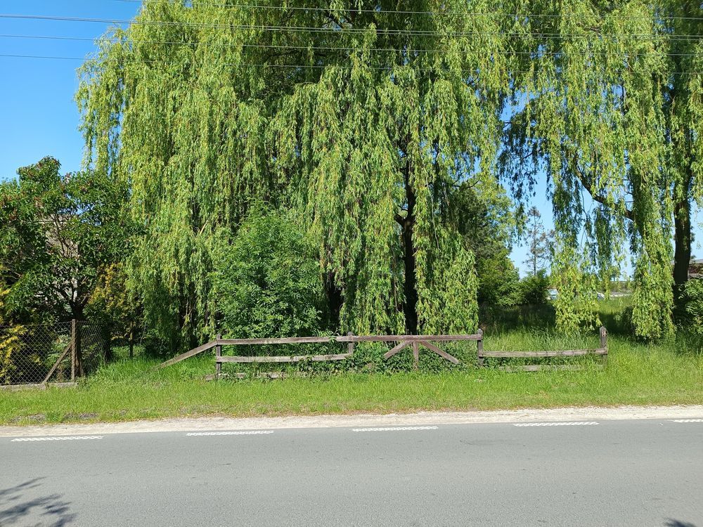 Działka budowlana Łążyn. Zdjęcie 1
