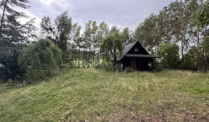 Działka rolna Smoleń-Poluby