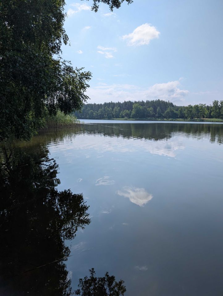 Działka budowlana Radziochy. Zdjęcie 7