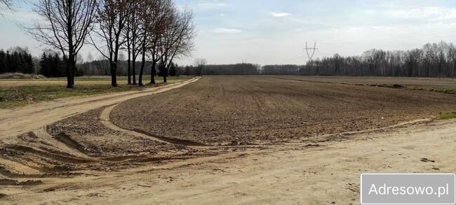 Działka budowlana Orły-Cesin. Zdjęcie 6