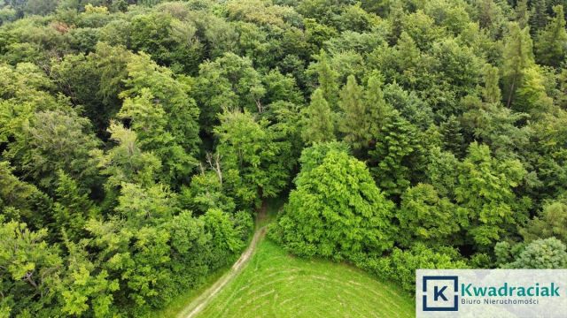 Działka leśna Stary Żmigród. Zdjęcie 6