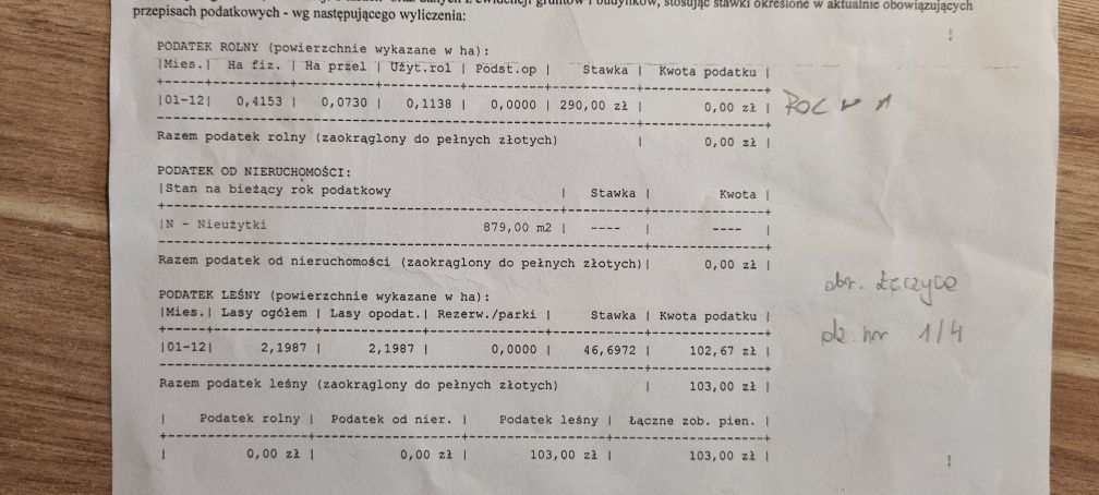 Działka leśna Łęczyca. Zdjęcie 2