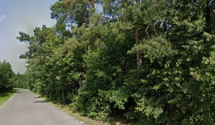 Działka leśna Kurzacze