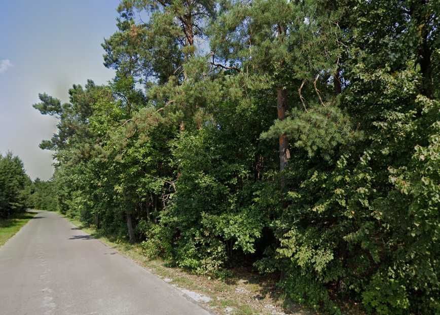 Działka leśna Kurzacze