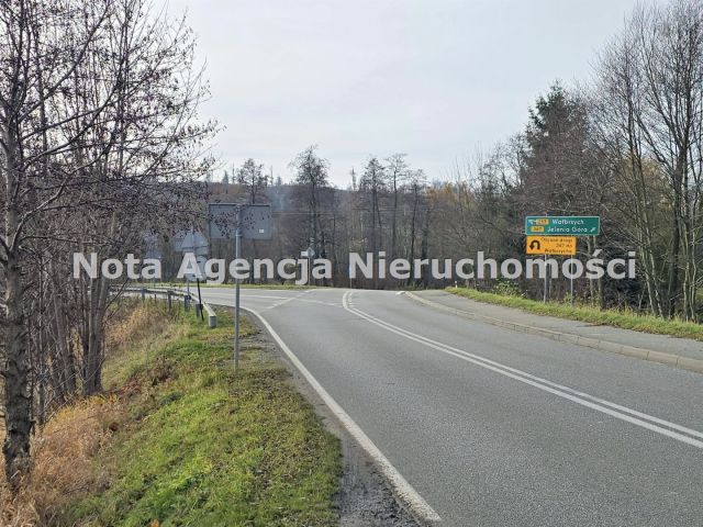 Działka inwestycyjna Jabłów. Zdjęcie 1