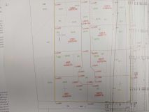 Działka rolna Gubinek. Zdjęcie 2