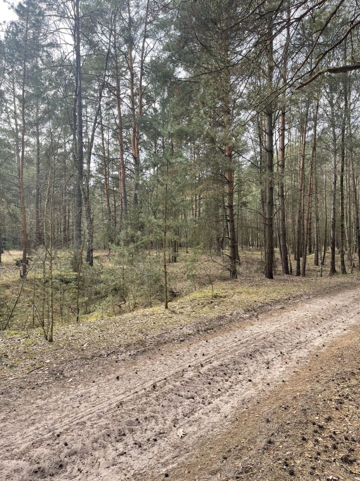 Działka budowlana Faustynów Fraszka. Zdjęcie 2