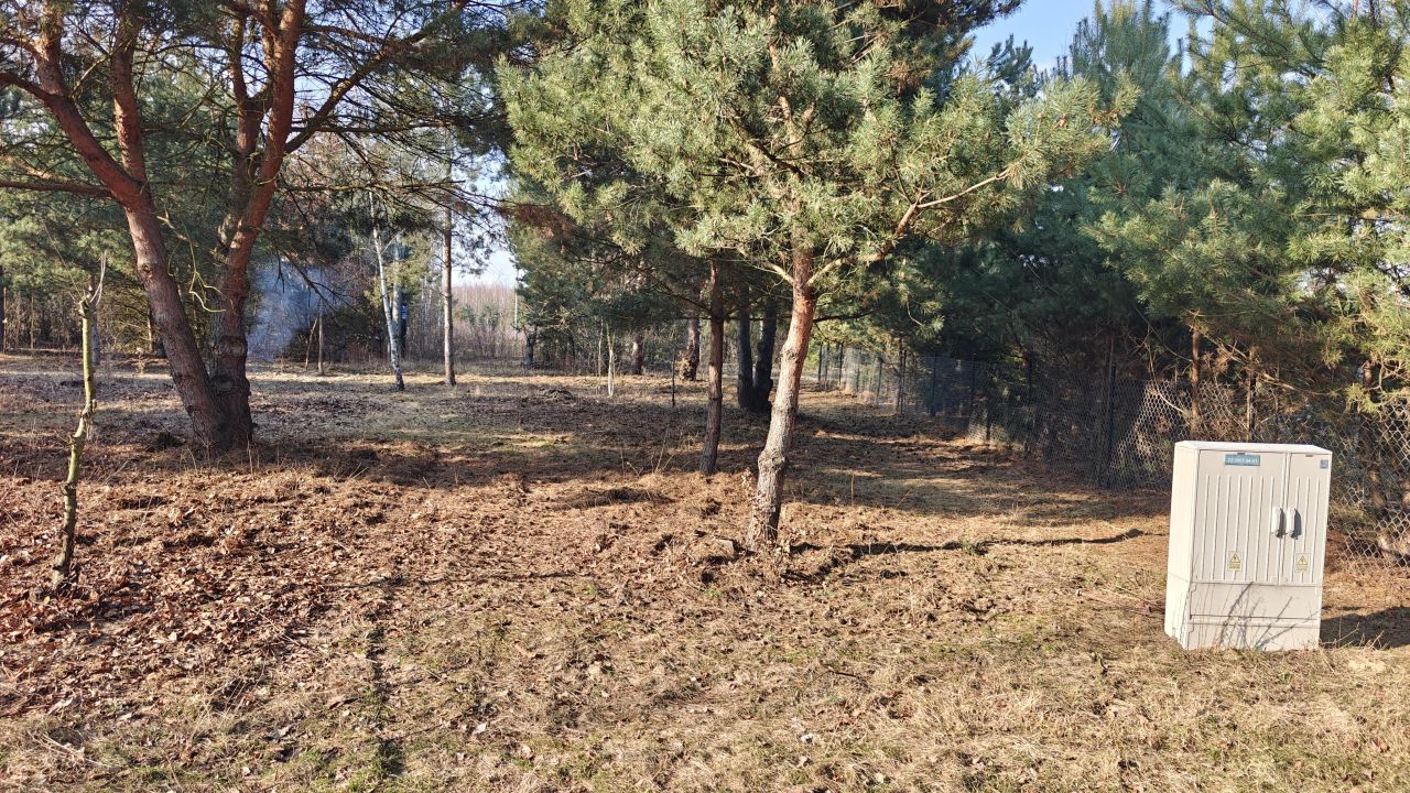 Działka budowlana Nowe Budy, ul. Sosnowa. Zdjęcie 4