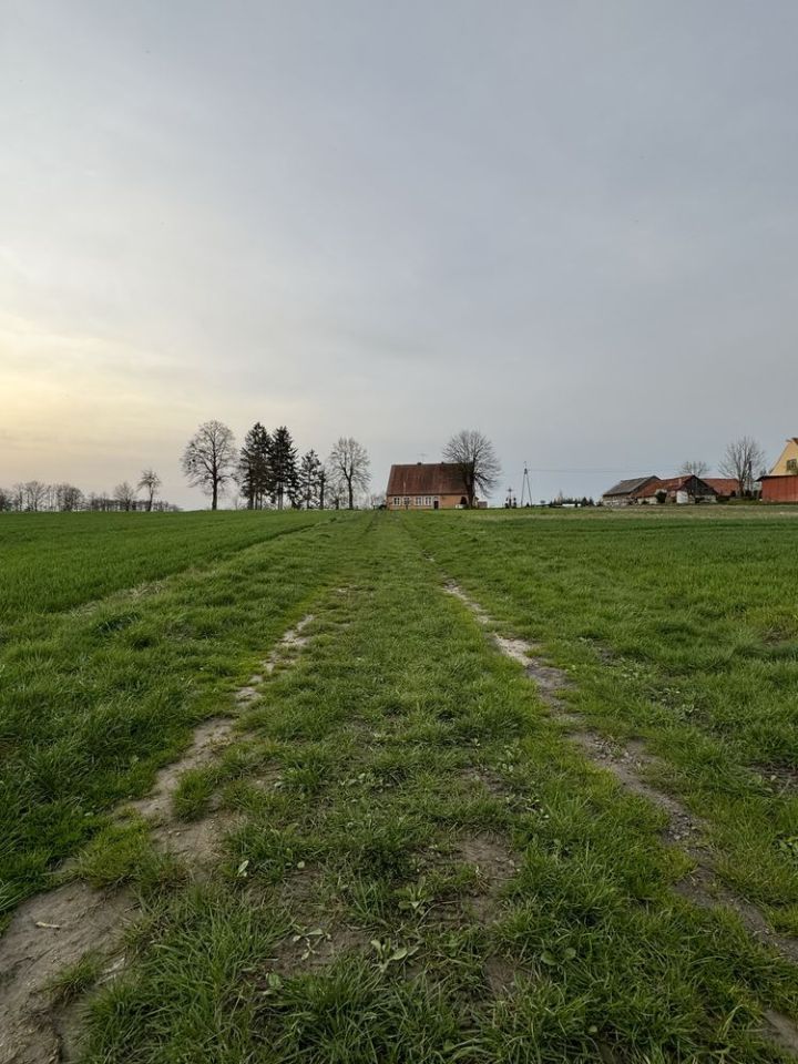 Działka budowlana Skitno. Zdjęcie 4