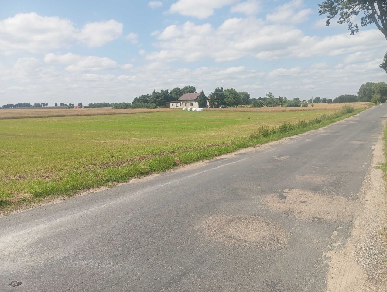 Działka rolno-budowlana Starzykowo. Zdjęcie 1