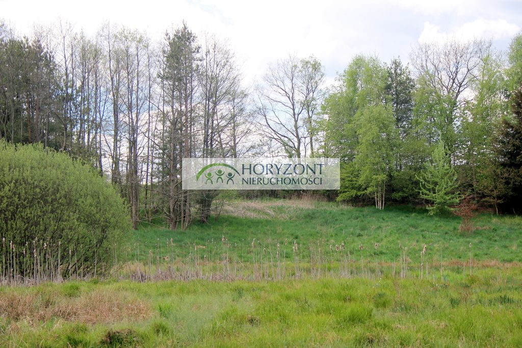 Działka budowlana Sitno. Zdjęcie 7
