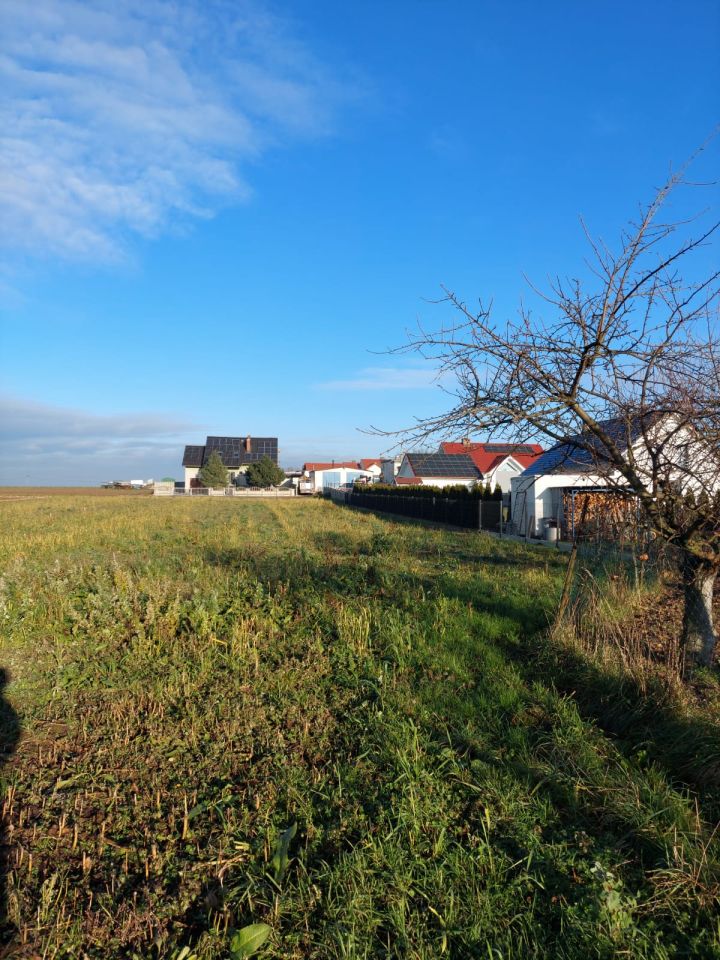 Działka budowlana Grocholub, ul. Leśna. Zdjęcie 4