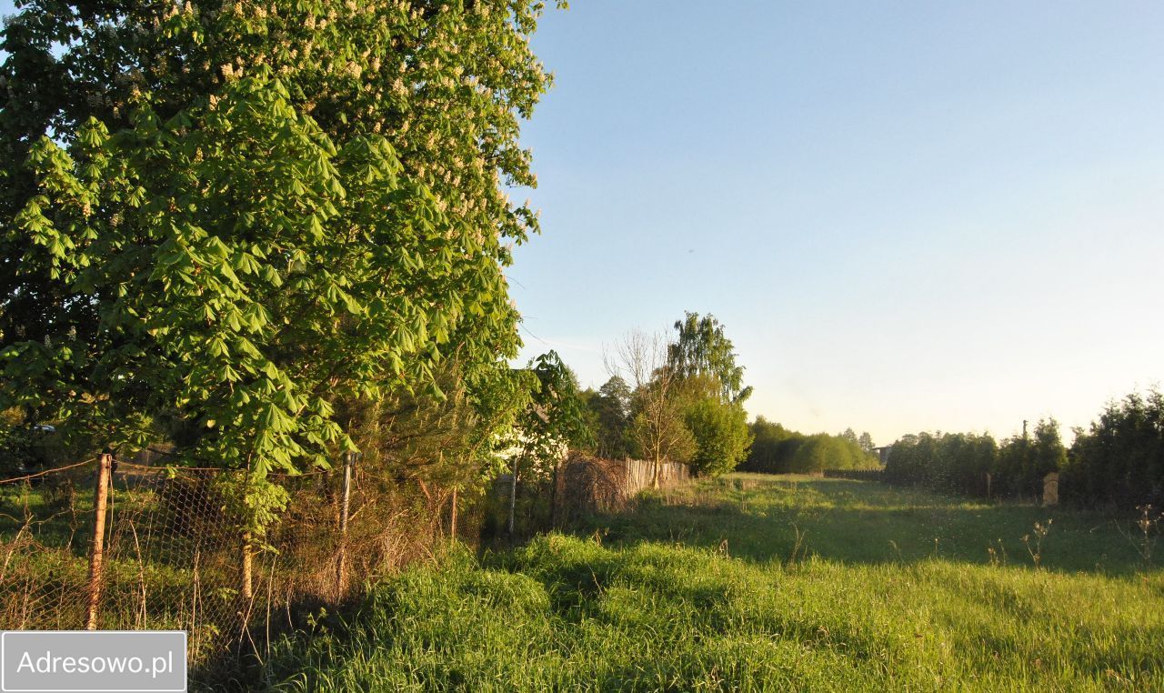 Działka siedliskowa Wola Brwileńska. Zdjęcie 4